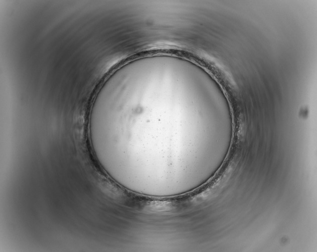 X0000102361313200808151804