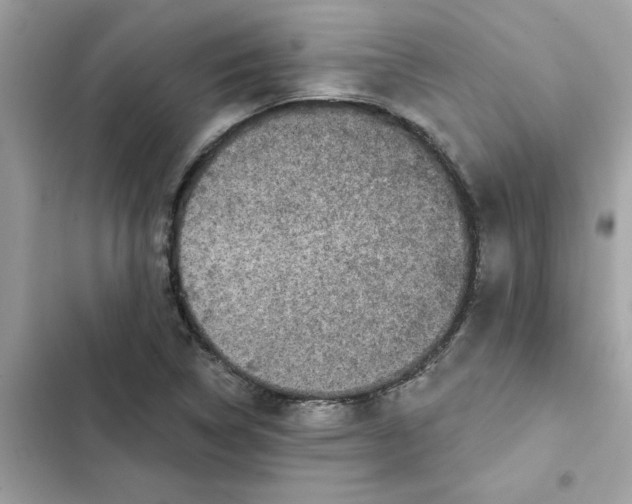 X0000102361314200808151804