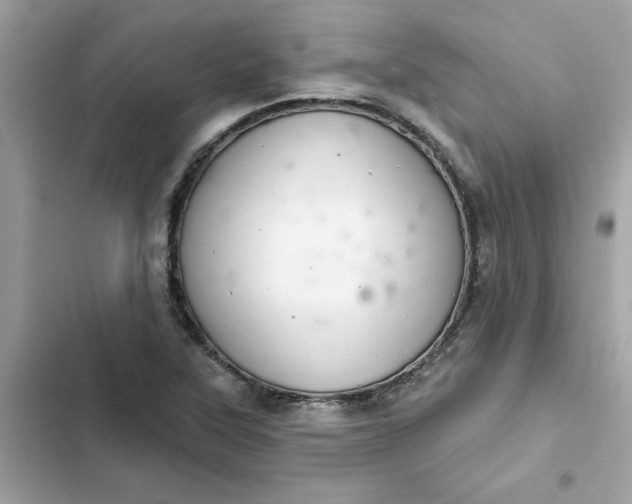 X0000102361315200808151804