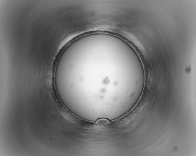 X0000102361316200808151804