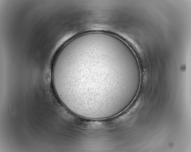 X0000102361317200808151804