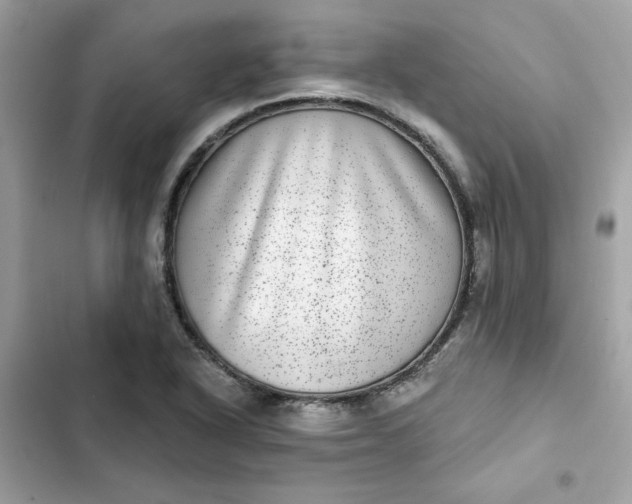 X0000102361318200808151804