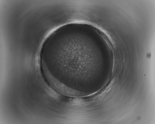 X0000102361319200808151804