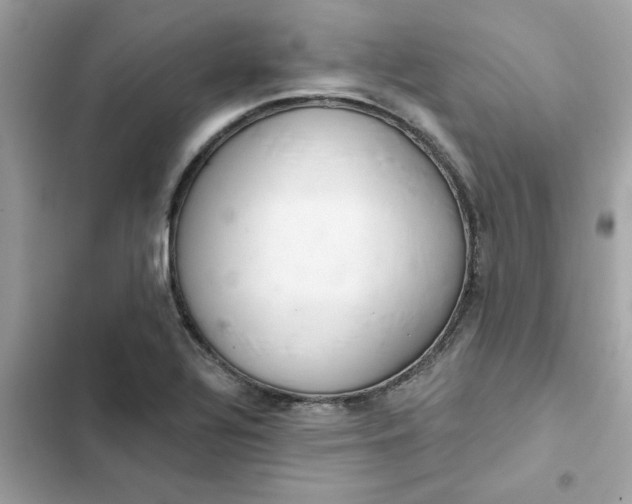 X0000102361320200808151804