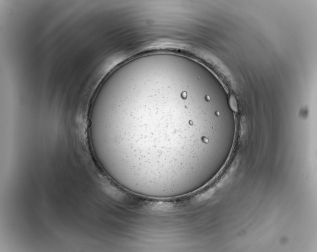 X0000102361321200808151804