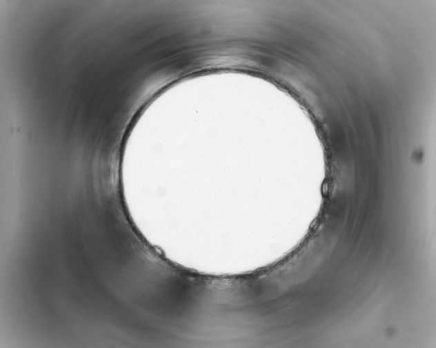 X0000102361322200808151804