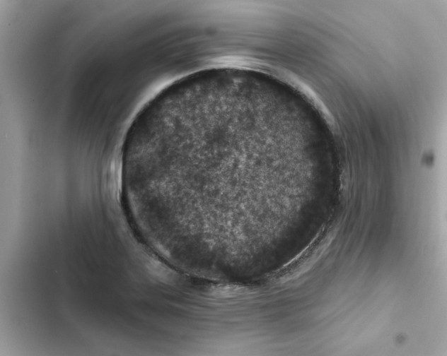 X0000102361323200808151804