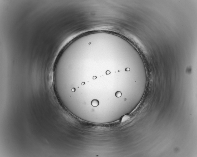 X0000102361324200808151804