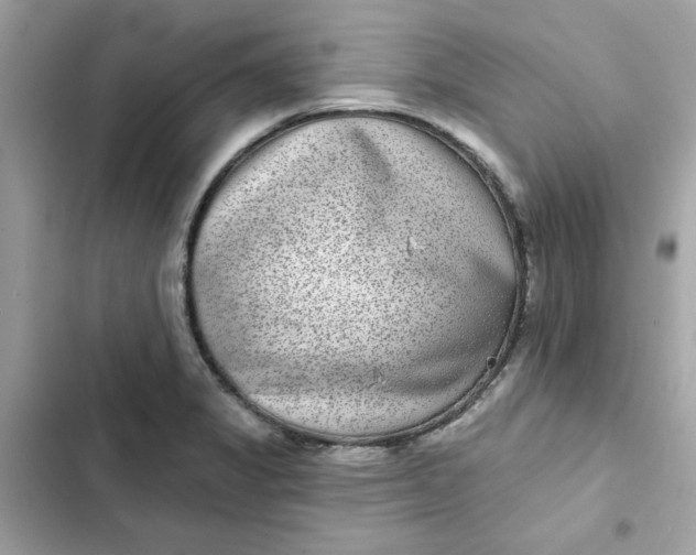 X0000102361325200808151804