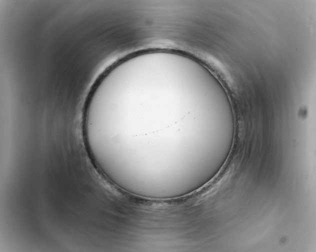 X0000102361326200808151804