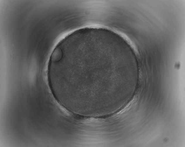 X0000102361327200808151804