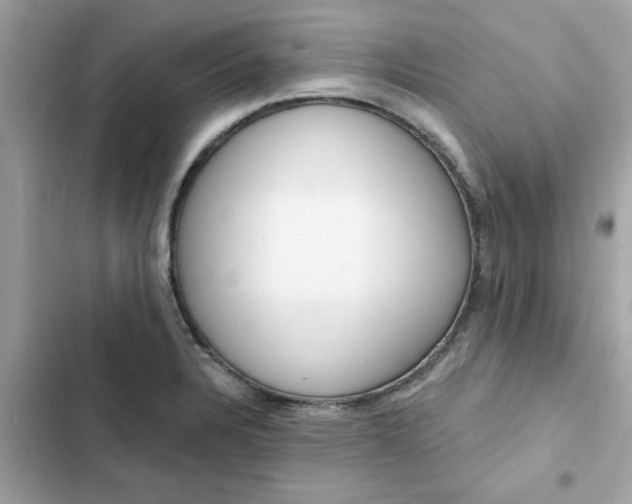 X0000102361328200808151804