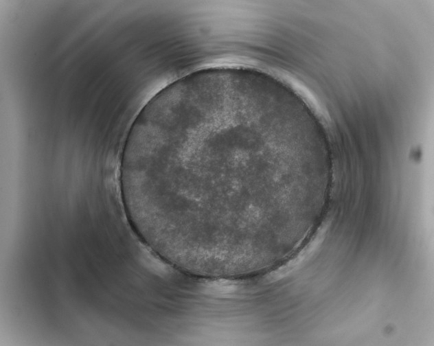 X0000102361329200808151804