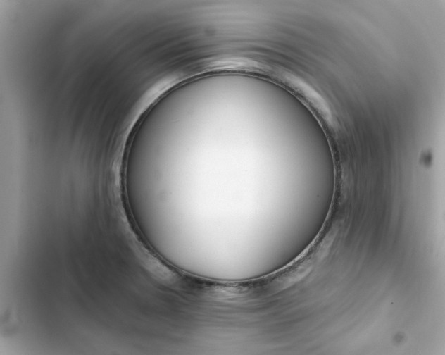 X0000102361330200808151804