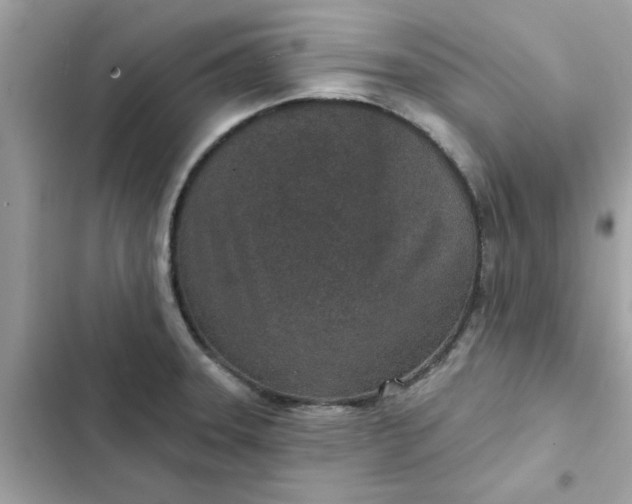 X0000102361331200808151804