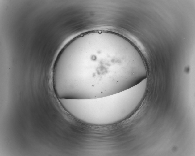 X0000102361332200808151804