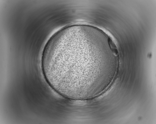 X0000102361333200808151804