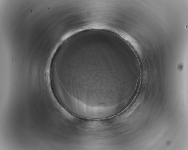 X0000102361334200808151804