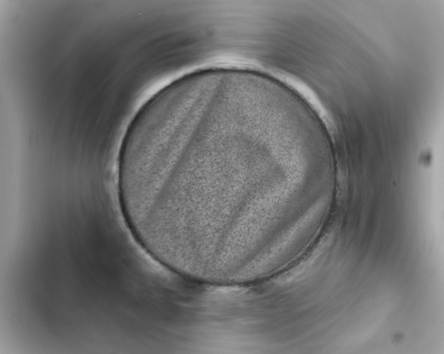 X0000102361335200808151804