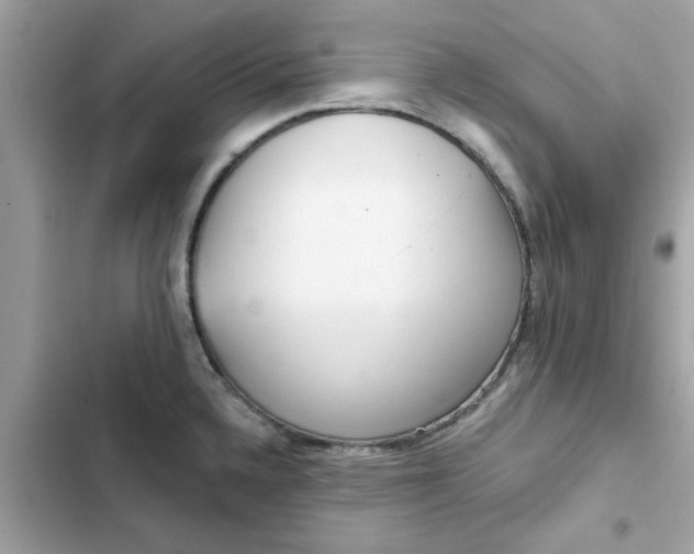 X0000102361336200808151804