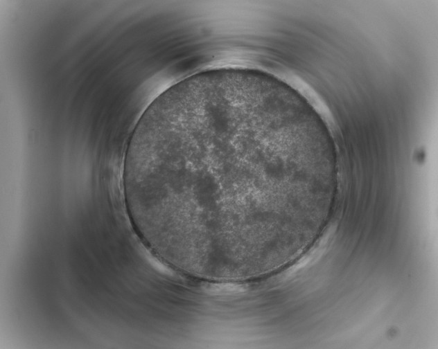 X0000102361337200808151804