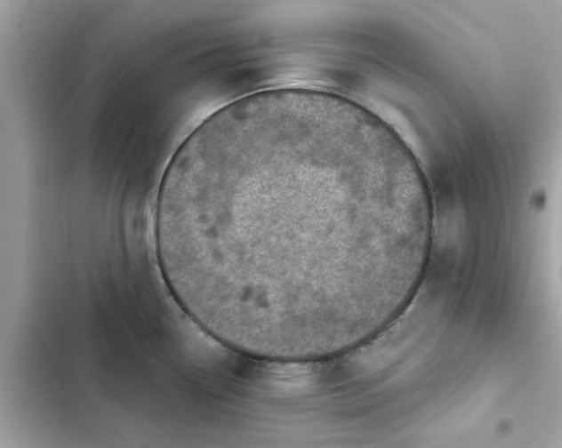 X0000102361338200808151804