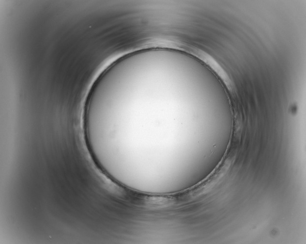 X0000102361339200808151804