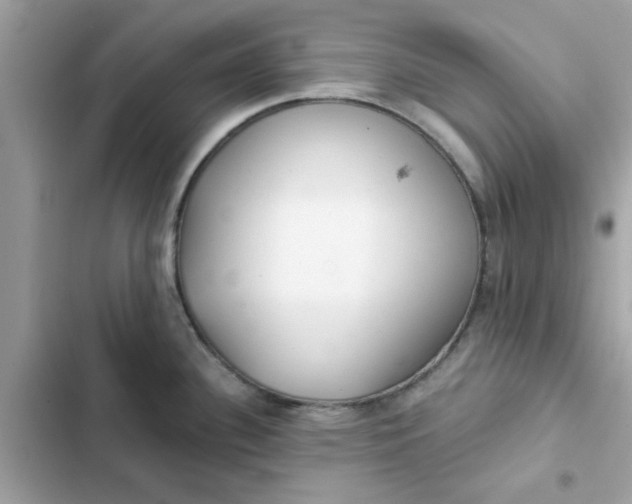 X0000102361340200808151804