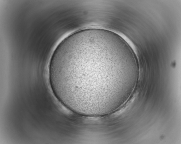 X0000102361341200808151804