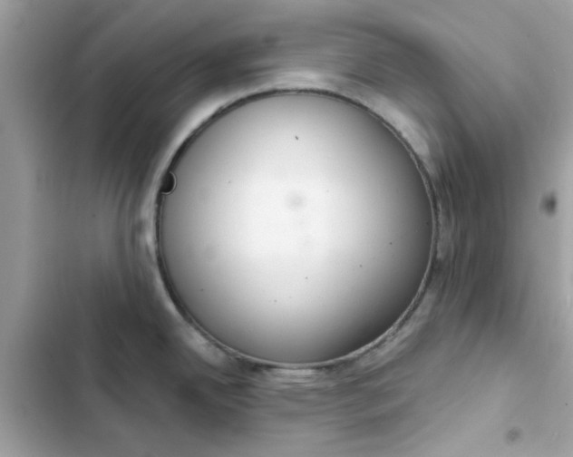 X0000102361342200808151804