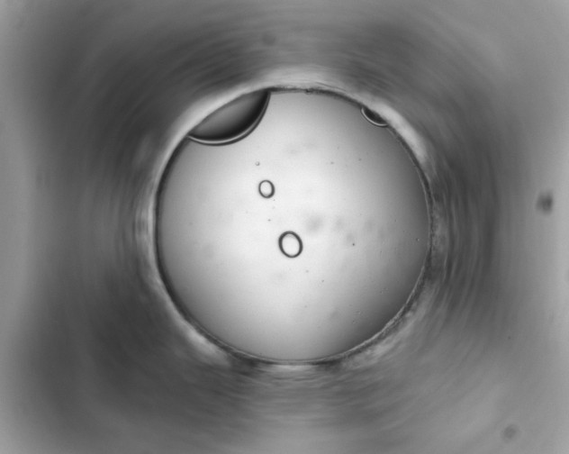 X0000102361343200808151804