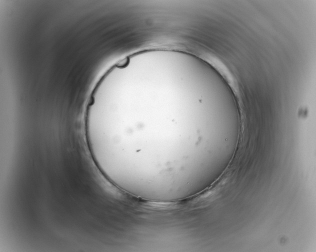 X0000102361344200808151804