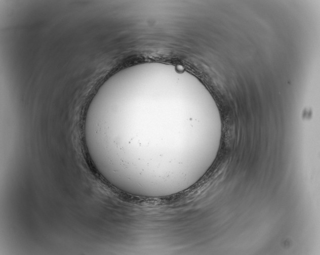 X0000102361345200808151804