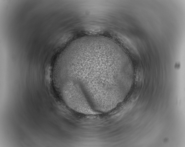 X0000102361346200808151804