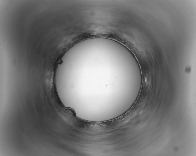 X0000102361348200808151804