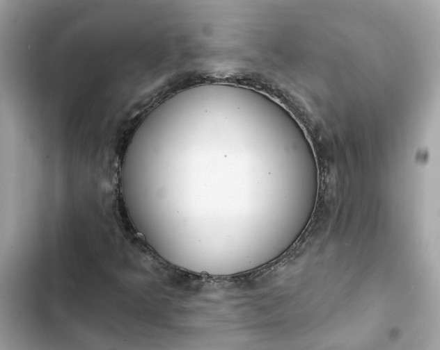 X0000102361349200808151804