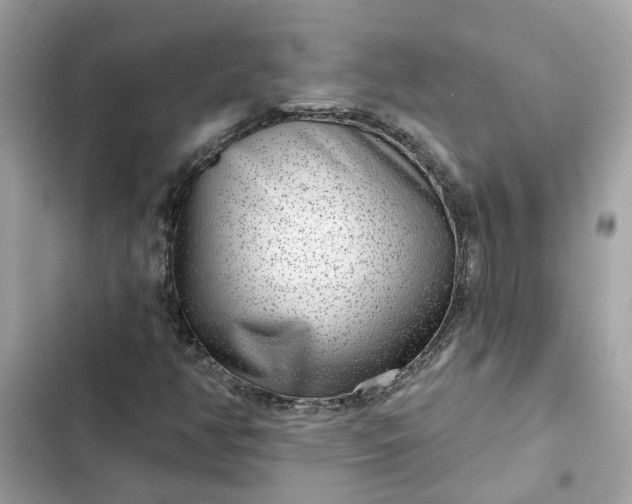 X0000102361350200808151804