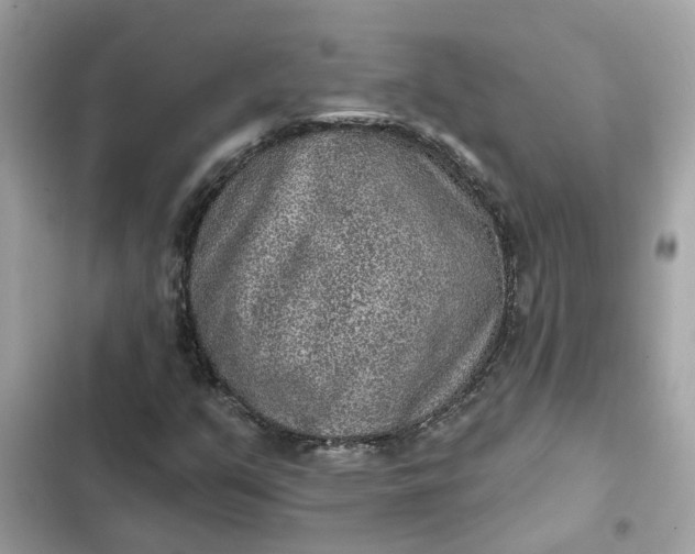 X0000102361351200808151804