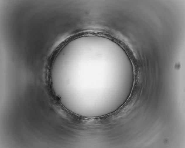 X0000102361352200808151804