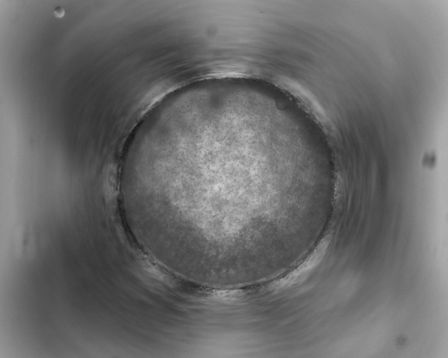 X0000102361353200808151804