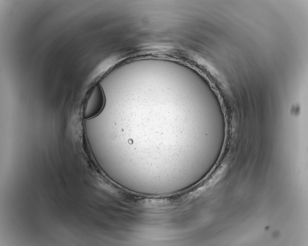 X0000102361354200808151804