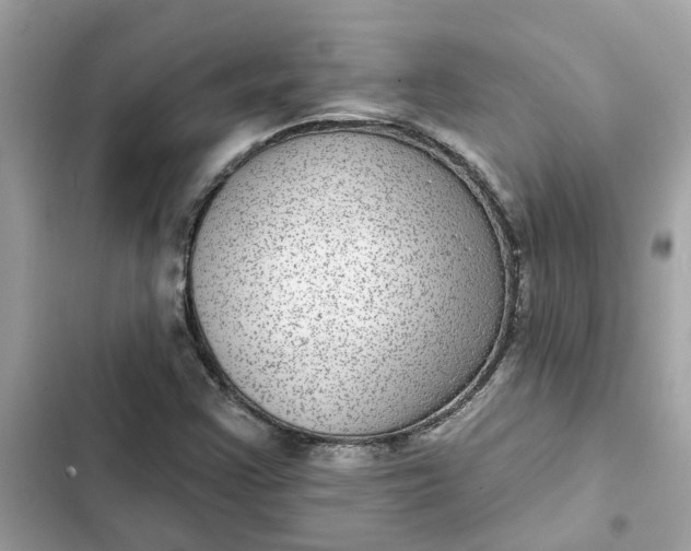 X0000102361355200808151804