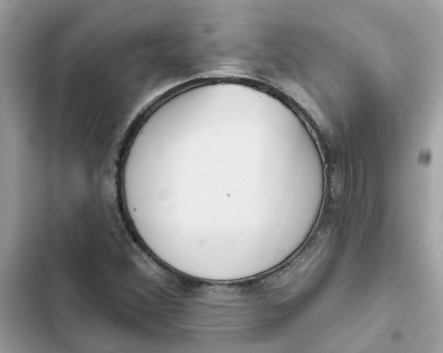 X0000102361356200808151804