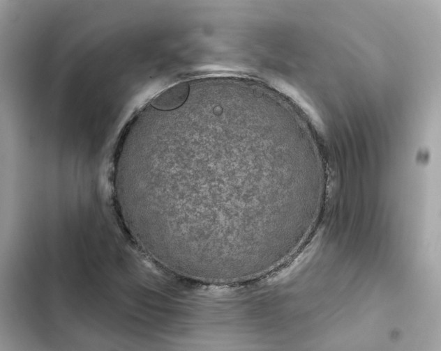 X0000102361357200808151804