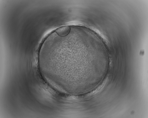 X0000102361358200808151804