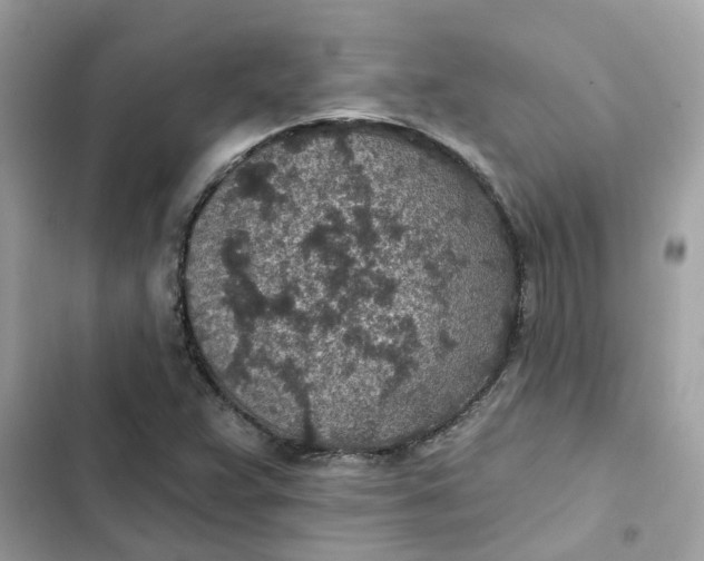 X0000102361359200808151804