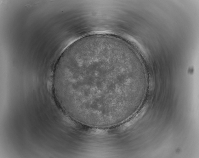 X0000102361361200808151804