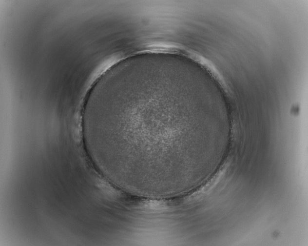 X0000102361362200808151804