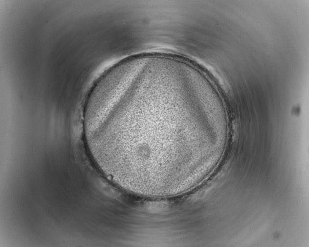 X0000102361363200808151804