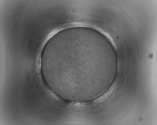 X0000102361365200808151804